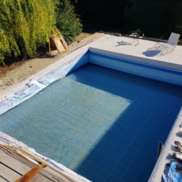 Accessoires et Produits d'Entretien : Maintenez votre Piscine dans un État Impeccable Fort-de-France